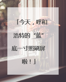 今天，呼和浩特的“蓝”底一寸照刷屏啦！