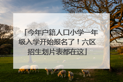 今年户籍人口小学一年级入学开始报名了！六区招生划片表都在这