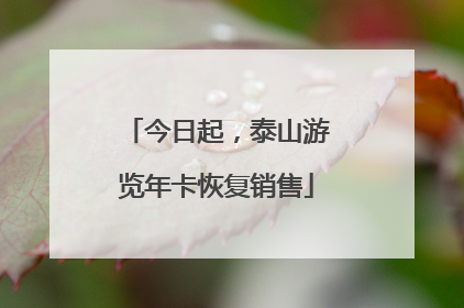 今日起，泰山游览年卡恢复销售
