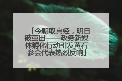 今朝取真经，明日破茧出——政务新媒体孵化行动引发黄石参会代表热烈反响