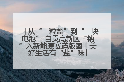 从“一粒盐”到“一块电池” 自贡高新区“钠”入新能源赛道版图丨美好生活有“盐”味