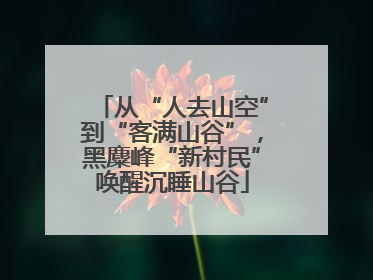 从“人去山空”到“客满山谷”，黑麋峰“新村民”唤醒沉睡山谷
