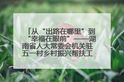 从“出路在哪里”到“幸福在眼前”——湖南省人大常委会机关驻五一村乡村振兴帮扶工作队书写振兴答卷