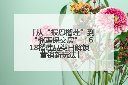 从“报恩榴莲”到“榴莲保交房”：618榴莲品类日解锁营销新玩法