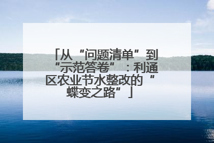 从“问题清单”到“示范答卷”：利通区农业节水整改的“蝶变之路”