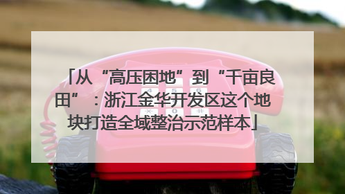 从“高压困地”到“千亩良田”：浙江金华开发区这个地块打造全域整治示范样本