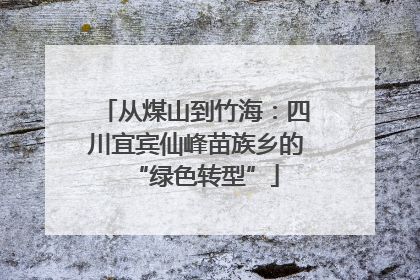 从煤山到竹海：四川宜宾仙峰苗族乡的“绿色转型”