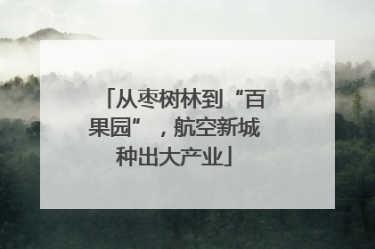 从枣树林到“百果园”，航空新城种出大产业