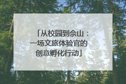从校园到佘山：一场文旅体验官的创意孵化行动