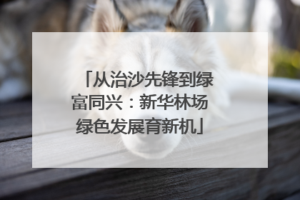 从治沙先锋到绿富同兴：新华林场绿色发展育新机