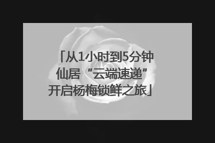 从1小时到5分钟 仙居“云端速递”开启杨梅锁鲜之旅