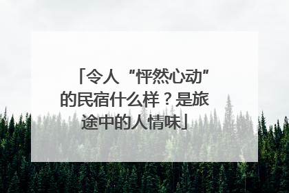 令人“怦然心动”的民宿什么样？是旅途中的人情味