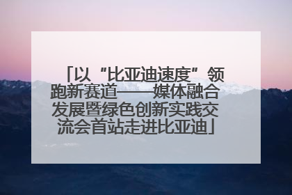 以“比亚迪速度”领跑新赛道——媒体融合发展暨绿色创新实践交流会首站走进比亚迪