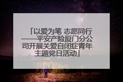 以爱为笔 志愿同行——平安产险厦门分公司开展关爱自闭症青年主题党日活动