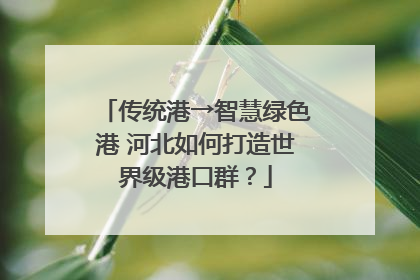 传统港→智慧绿色港 河北如何打造世界级港口群？