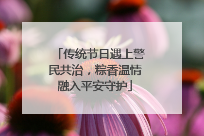 传统节日遇上警民共治，粽香温情融入平安守护