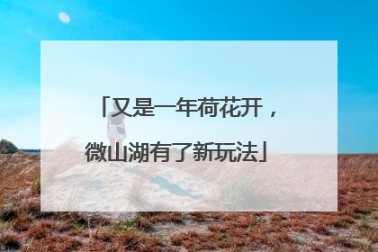 又是一年荷花开，微山湖有了新玩法