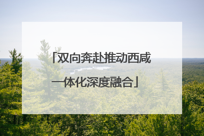 双向奔赴推动西咸一体化深度融合