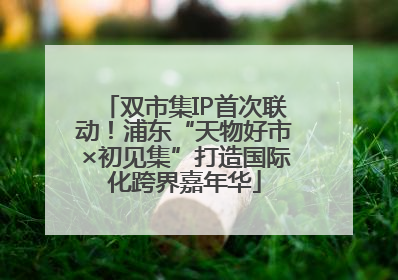 双市集IP首次联动！浦东“天物好市×初见集”打造国际化跨界嘉年华