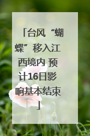 台风“蝴蝶”移入江西境内 预计16日影响基本结束