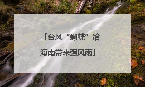 台风“蝴蝶”给海南带来强风雨