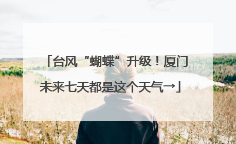 台风“蝴蝶”升级！厦门未来七天都是这个天气→