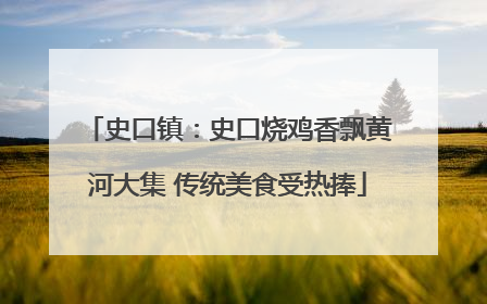 史口镇：史口烧鸡香飘黄河大集 传统美食受热捧