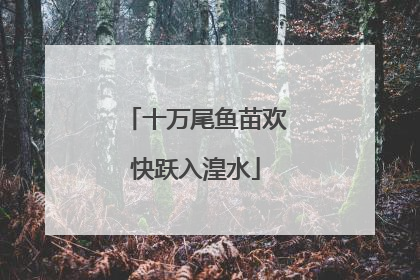 十万尾鱼苗欢快跃入湟水