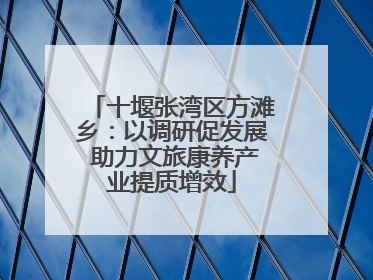 十堰张湾区方滩乡：以调研促发展 助力文旅康养产业提质增效