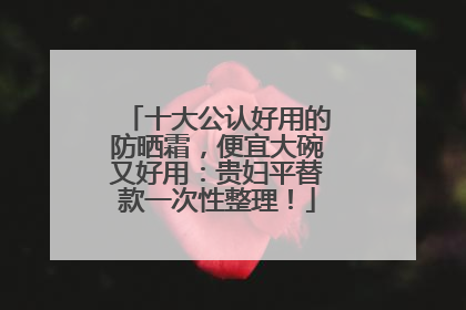 十大公认好用的防晒霜，便宜大碗又好用：贵妇平替款一次性整理！