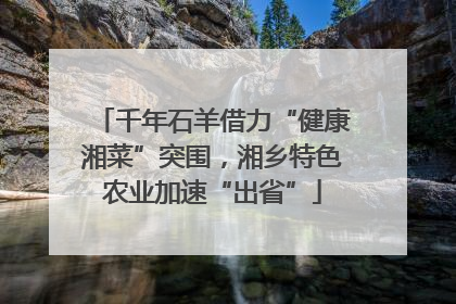 千年石羊借力“健康湘菜”突围，湘乡特色农业加速“出省”