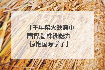 千年窑火映照中国智造 株洲魅力惊艳国际学子