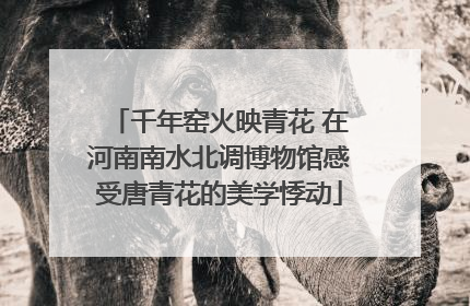 千年窑火映青花 在河南南水北调博物馆感受唐青花的美学悸动