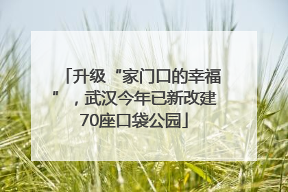 升级“家门口的幸福”，武汉今年已新改建70座口袋公园