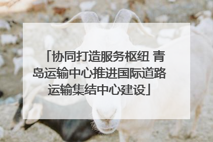 协同打造服务枢纽 青岛运输中心推进国际道路运输集结中心建设