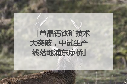 单晶钙钛矿技术大突破，中试生产线落地浦东康桥
