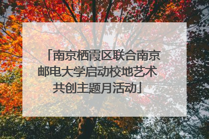南京栖霞区联合南京邮电大学启动校地艺术共创主题月活动