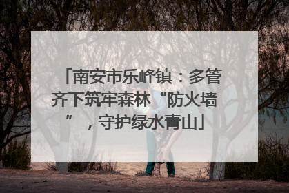 南安市乐峰镇：多管齐下筑牢森林“防火墙”，守护绿水青山