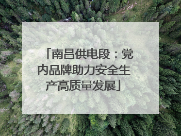 南昌供电段：党内品牌助力安全生产高质量发展