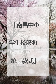 南昌中小学生校服将统一款式