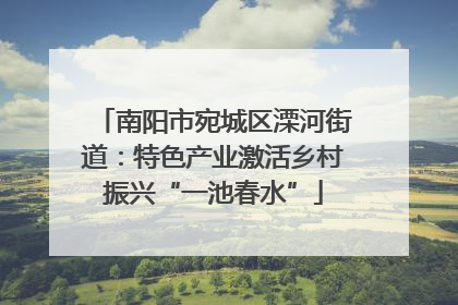 南阳市宛城区溧河街道：特色产业激活乡村振兴“一池春水”