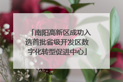 南阳高新区成功入选首批省级开发区数字化转型促进中心