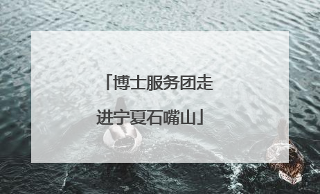 博士服务团走进宁夏石嘴山