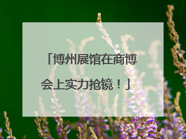 博州展馆在商博会上实力抢镜！