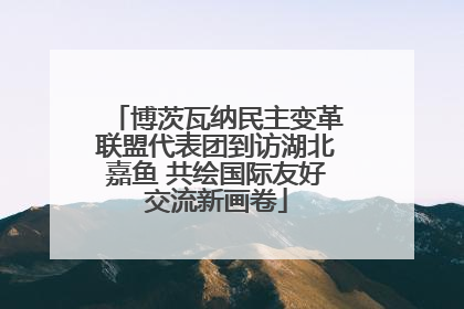 博茨瓦纳民主变革联盟代表团到访湖北嘉鱼 共绘国际友好交流新画卷