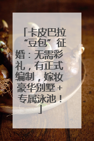 卡皮巴拉“豆包”征婚：无需彩礼，有正式编制，嫁妆豪华别墅＋专属泳池！
