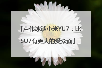 卢伟冰谈小米YU7：比SU7有更大的受众面