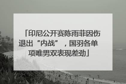 印尼公开赛陈雨菲因伤退出“内战”，国羽各单项唯男双表现差劲