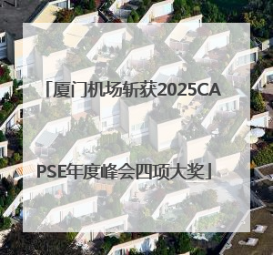 厦门机场斩获2025CAPSE年度峰会四项大奖