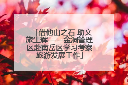 借他山之石 助文旅生辉——金洞管理区赴南岳区学习考察旅游发展工作